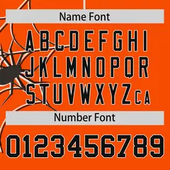 Orange Black Spider Web Raglan Authentic Baseball Jersey 4