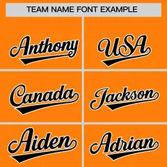 Orange Black Stripe Animals Graffiti Raglan Baseball Jersey 3