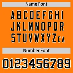Orange Black Stripe Animals Graffiti Raglan Baseball Jersey 4