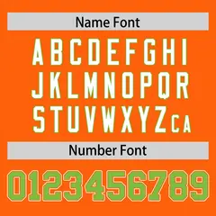 Orange Classic Authentic Football Jersey 4