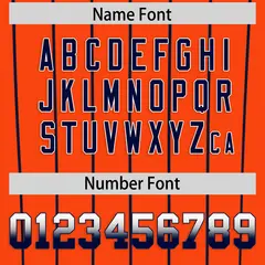 Orange Detroit City Silhouette Authentic Baseball Jersey 4