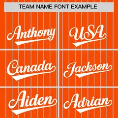 Orange Gray Pinstripe Two-Tone Authentic Baseball Jersey 3