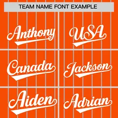 Orange Gray Pinstripe Two-Tone Authentic Baseball Jersey 3