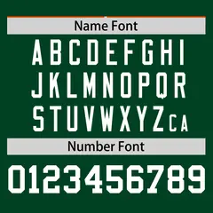 Orange Green Pinstripe Raglan Baseball Jersey 4