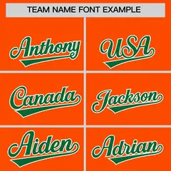 Orange Kelly Green Leopard Graffiti Side Baseball Jersey 3