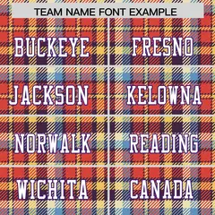 Orange Plaid Pattern Authentic Football Jersey 3