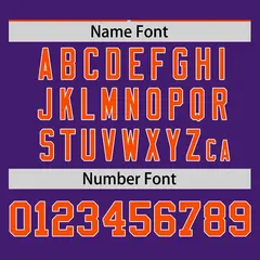 Orange Purple Pinstripe Raglan Baseball Jersey 4