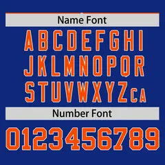Orange Royal Pinstripe Raglan Baseball Jersey 4