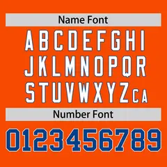 Orange Royal Raglan Pullover Authentic Baseball Jersey 4