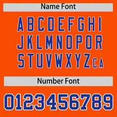 Orange Royal Stripe Animals Graffiti Raglan Baseball Jersey 4