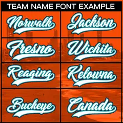 Orange White Aqua Miami City Skyline Baseball Jersey 3