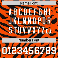 Orange White-Black Zebra Stripes Authentic Football Jersey 4