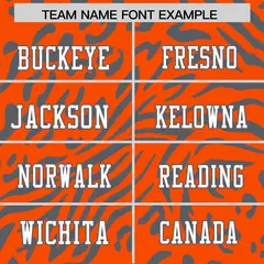 Orange White-Dark Gray Zebra Stripes Football Jersey 3