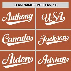 Orange White Texas Flag Classic Authentic Baseball Jersey 3