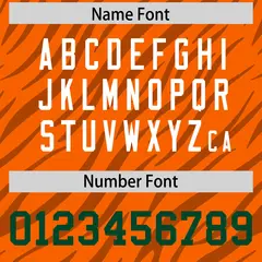 Orange White Tiger Stripe Graffiti Authentic Football Jersey 4