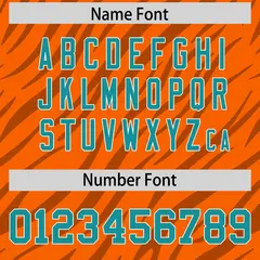 Orange White Tiger Stripe Graffiti Authentic Football Jersey 4