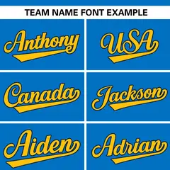 Panther Blue Stand Collar Classic Baseball Jersey 3