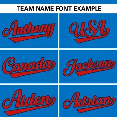 Panther Blue Stand Collar Classic Baseball Jersey 3
