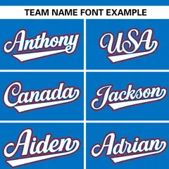 Panther Blue Stand Collar Classic Baseball Jersey 3