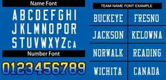 Panther Blue White Gradient Outdoor Football Jersey 3