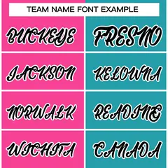 Pink Aqua-Black Two Tone Split Varsity Letterman Jacket 5