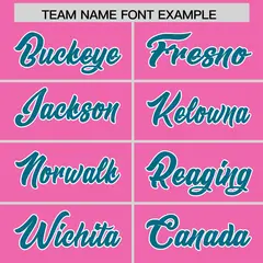 Pink Aqua White Side Stripe Authentic Football Jersey 3