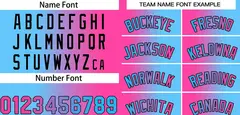 Pink Blue Black-Pink Gradient Fashion Bull Basketball Jersey 4