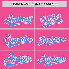 Pink Light Blue Stripe Animals Graffiti Raglan Baseball Jersey 3