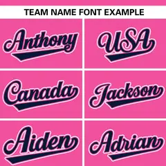 Pink Navy-White Stripe Raglan Baseball Jersey 3