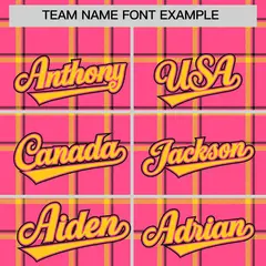 Pink Plaid Authentic Baseball Jersey 3
