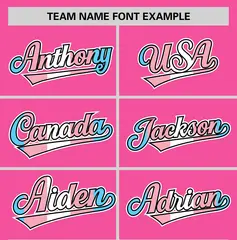 Pink Powder Blue Transgender Pride Month Baseball Jersey 3