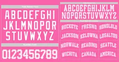 Pink White-Pink Classic Style Authentic Baseball Jersey 3