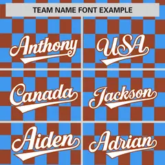 Powder Blue Brown Plaid Fashion Authentic Baseball Jersey 3