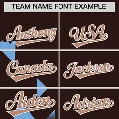 Powder Blue Brown Raptor Series Raglan Baseball Jersey 4