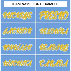 Powder Blue Gold Raglan Sleeves Varsity Full-Snap Letterman Jacket 3