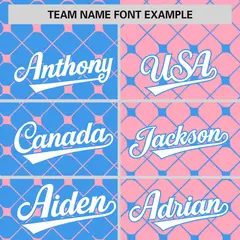 Powder Blue Light Pink Plaid Split Authentic Baseball Jersey 3