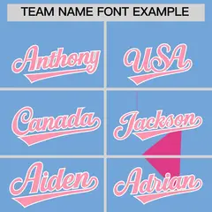 Powder Blue Light Pink Raptor Series Raglan Baseball Jersey 4