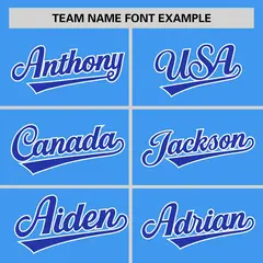 Powder Blue Royal Pinstripe Raglan Sleeves Baseball Jersey 3