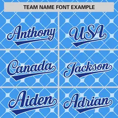 Powder Blue Royal-White Plaid Authentic Baseball Jersey 3