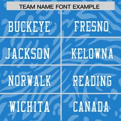 Powder Blue White-Powder Blue Zebra Stripes Football Jersey 3