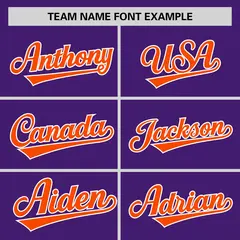 Purple Aqua Pinstripe Raglan Baseball Jersey 3