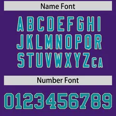 Purple Aqua Retro Sleeve Line Authentic Football Jersey 4