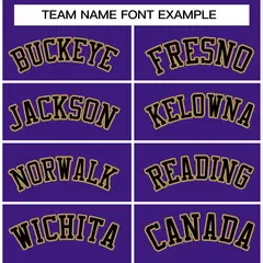 Purple Black-Old Gold Varsity Full-Snap Letterman Jacket 3