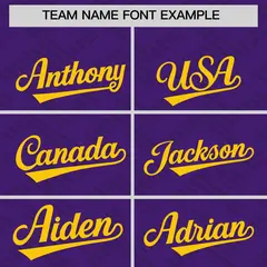 Purple Gold L Pattern Raglan Letterman Baseball Jacket 3