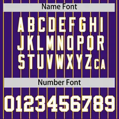 Purple Gold Stripe Raglan Authentic Baseball Jersey 4