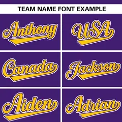 Purple Gold Stripe Raglan Authentic Baseball Jersey 3