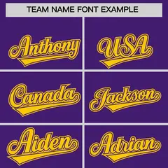 Purple Gold Two-Tone Varsity Full-Zip Letterman Bomber Jacket 3
