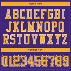 Purple Gold-White Classic Mesh Authentic Football Jersey 3