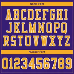 Purple Gold-White Classic Mesh Authentic Football Jersey 3