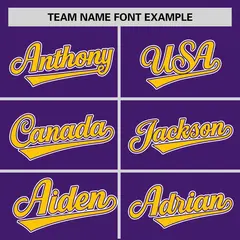Purple Gold Zebra Graffiti Authentic Baseball Jersey 3